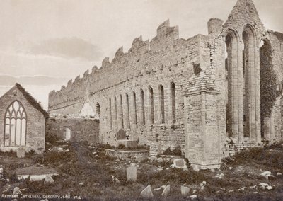 Ardfert Cathedral by Robert French